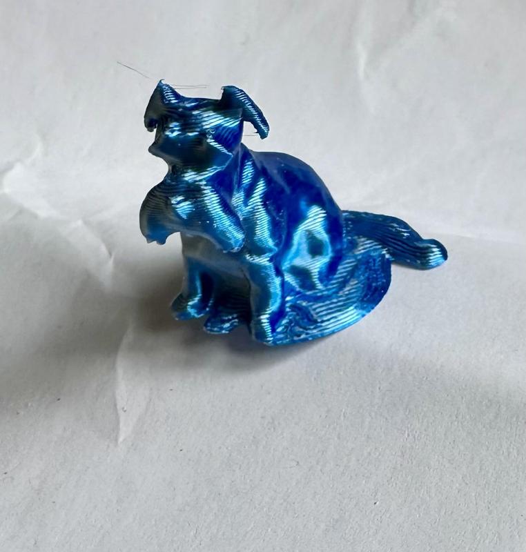 Schnauzer dog sitting