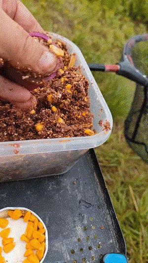 Feeder lis na krmení do praku