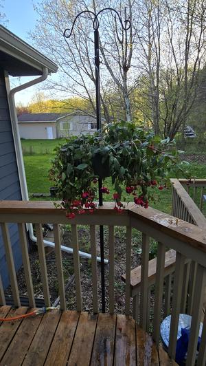 String Light Pole Mount - Through Rail