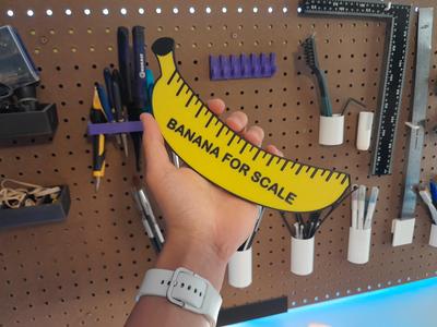 THE *OFFICIAL* Banana for Scale/Reference!