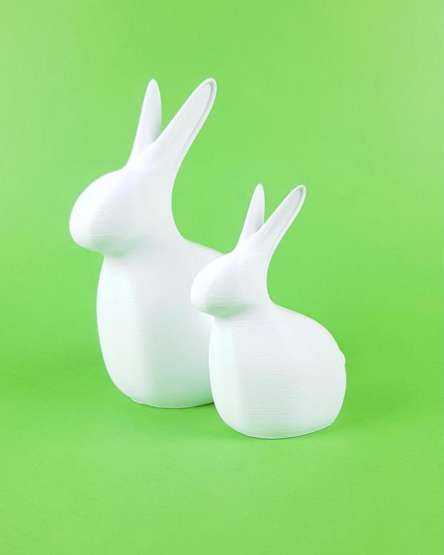 Pack Two Rabits/ Easter Decorations
