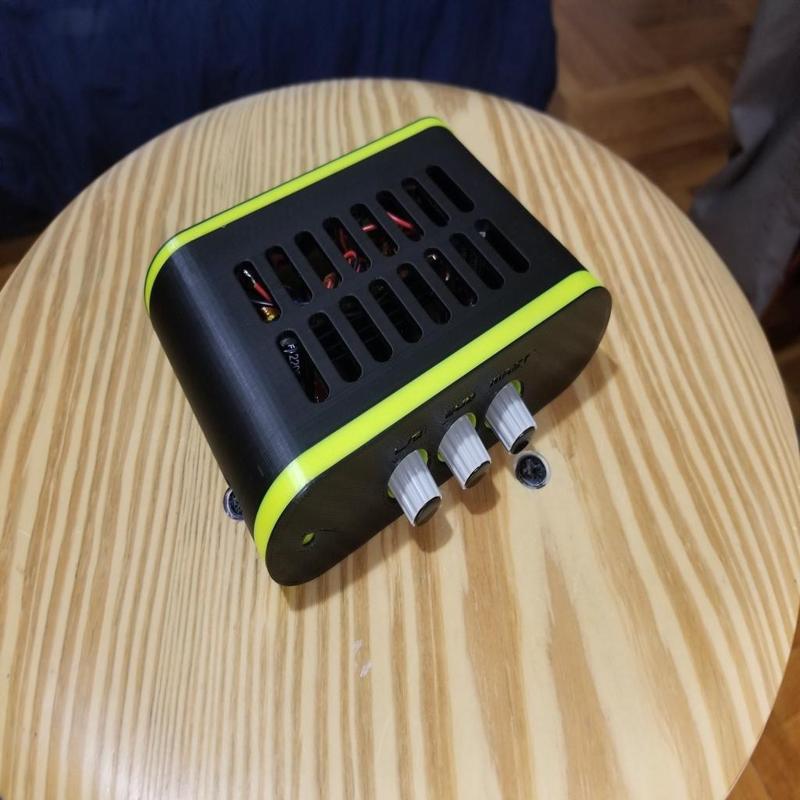 TPA3116 2.1 amplifier case