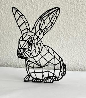Geometric Rabbit
