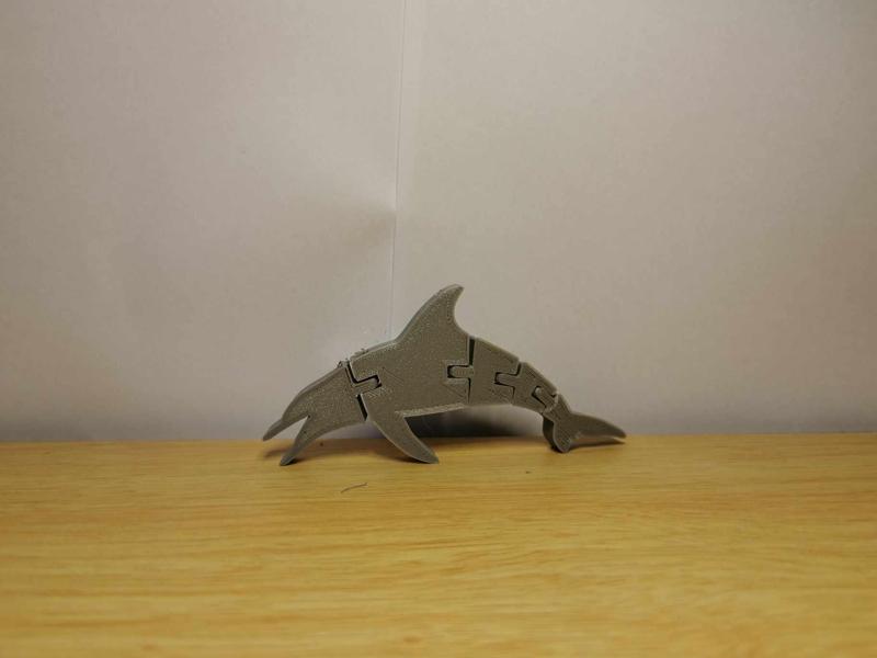 Flexi dolphin