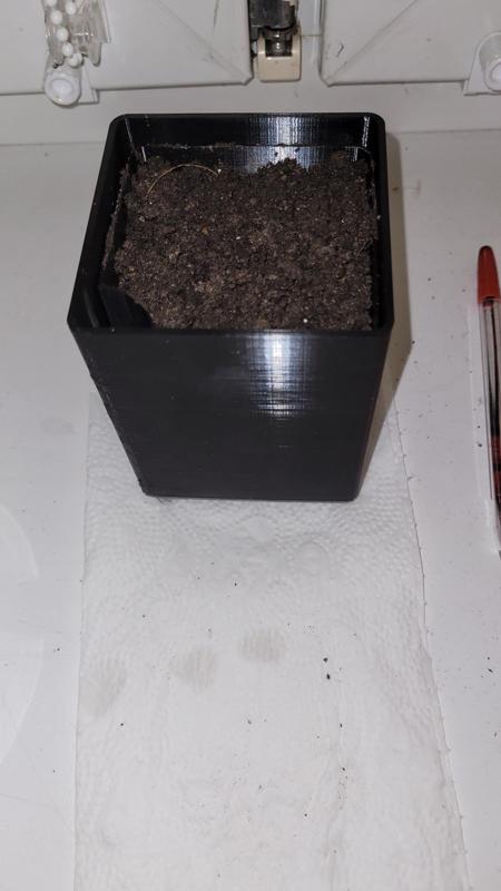 Self-watering flower pot