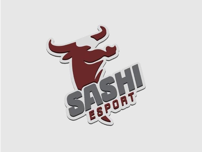 Sashi Esport Logo (CS2)