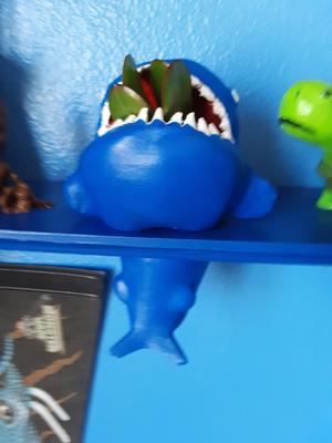 shark pot
