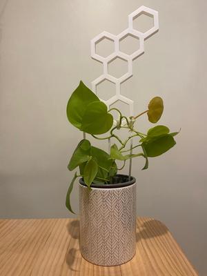 TutorHexa Plants