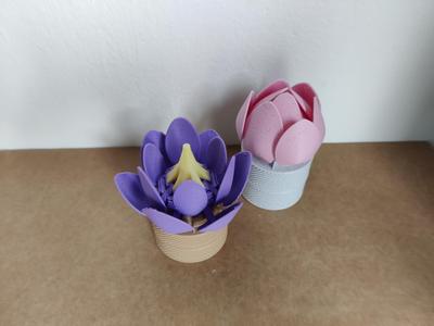 Mechanical Flower Ring Storage Box