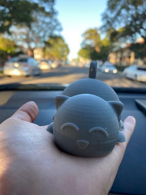 3d printed cat