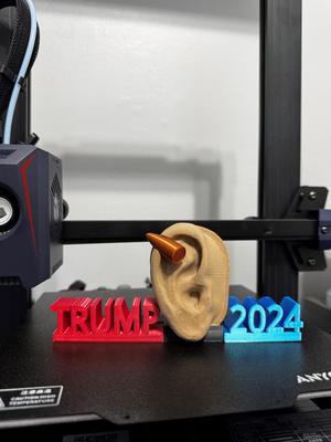 DONALD TRUMP EAR SHOT