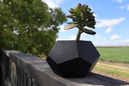 Geometric Succulent Planter