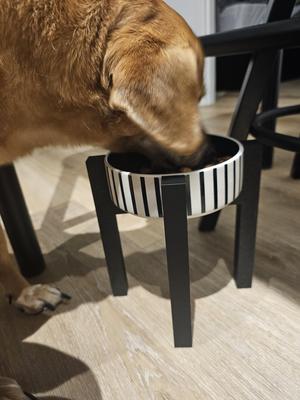 Pet raised bowl