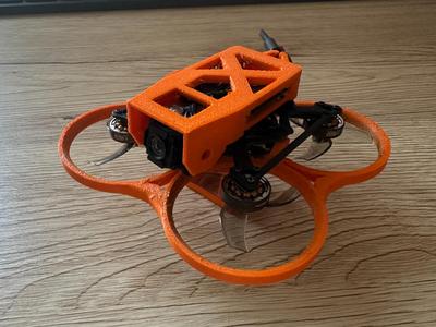 Pavo Femto Case 