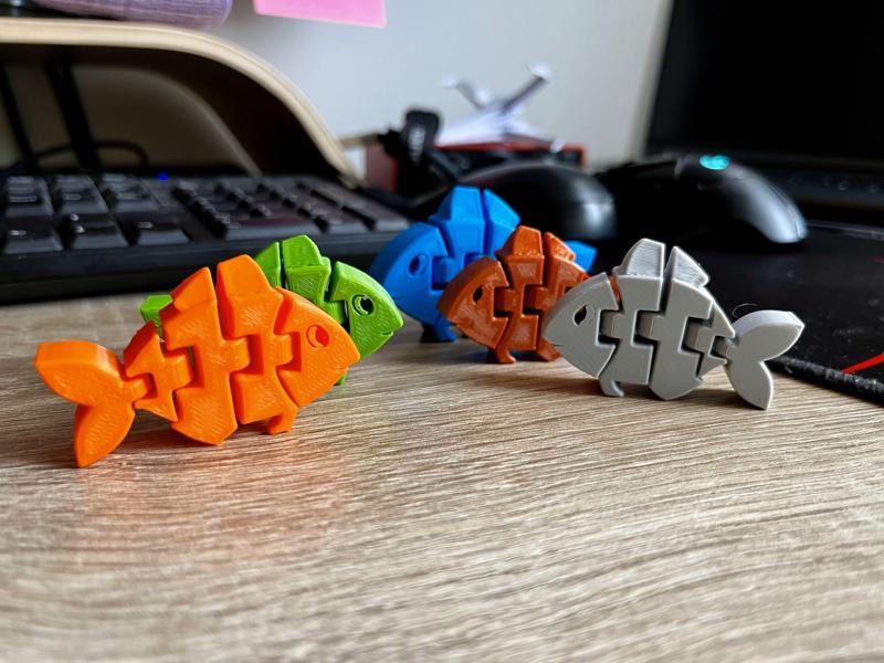 Flexi Fish - Bfish Julcha