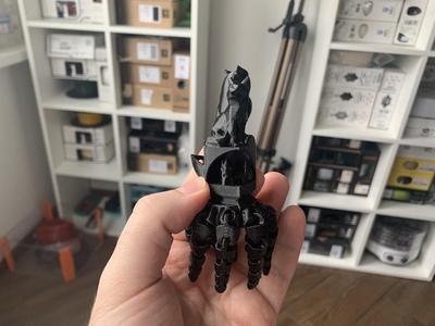 K3D Benchcat XYZfoxowltopus