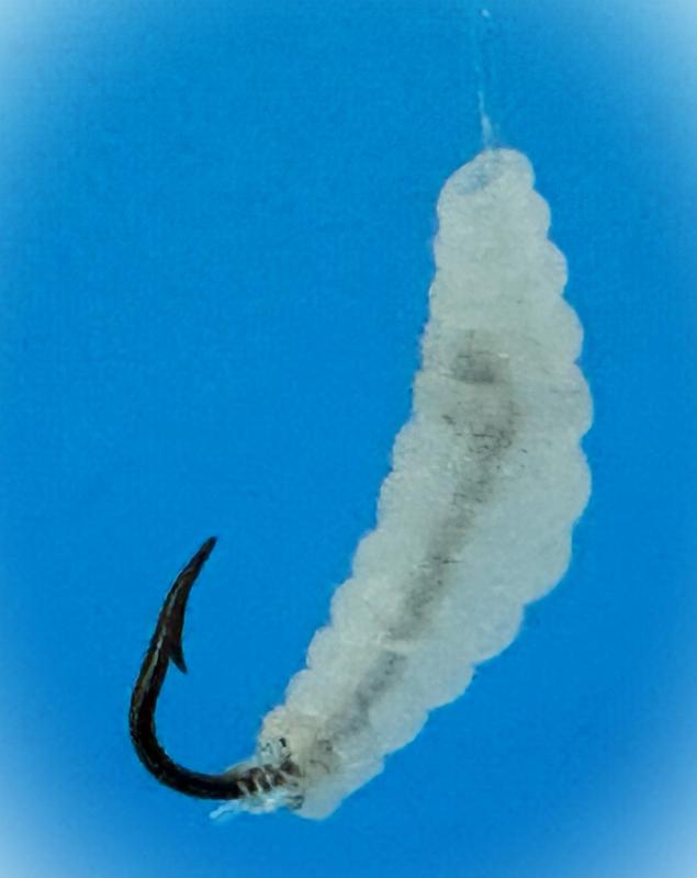 Fishing Lure/Bait - Maggot