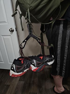 Shoe carrier