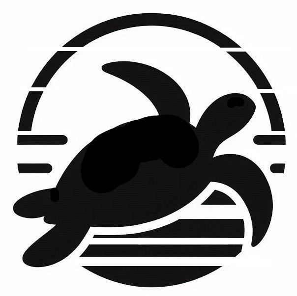 Stencil: Turtle 5
