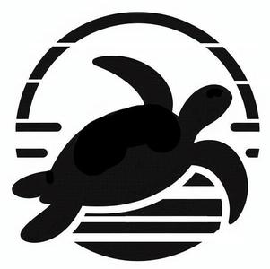 Stencil: Turtle 5