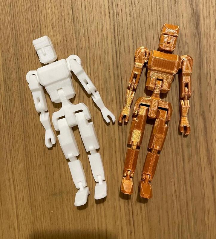 Articulated man & woman