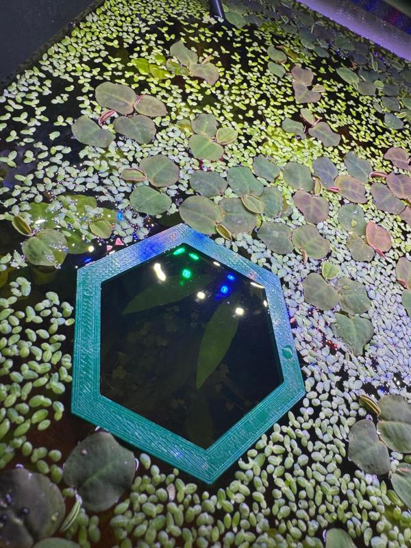 Aquarium Floating Hexagon Portal