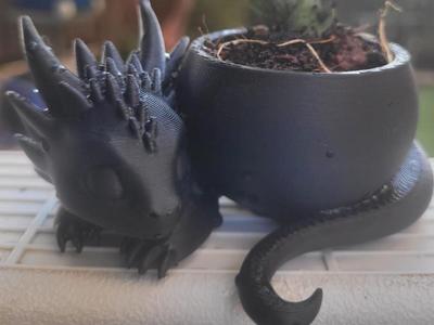 dragon planter