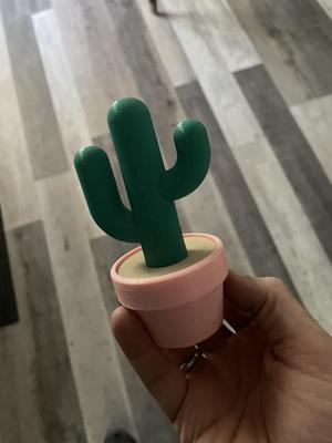 Potted Cactus Ring holder