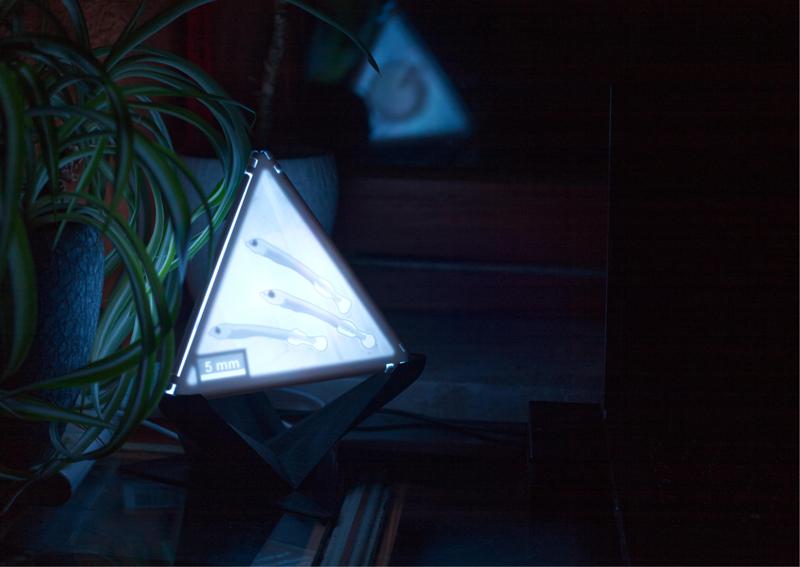 Marine Biology PolyPanel based LED Light (USB)!