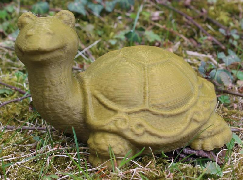 Turtle (Schildkröte)