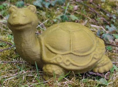 Turtle (Schildkröte)