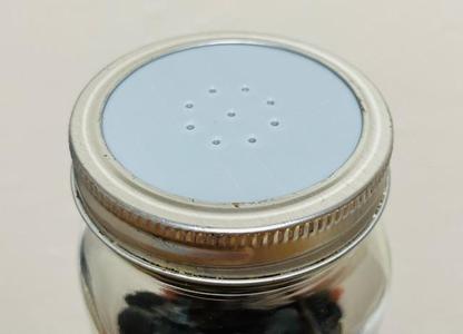 Mason Jar Lid with Breathing Holes for Bugs and Plants