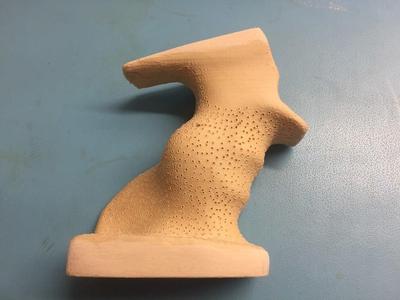 Steyr LP10 grip