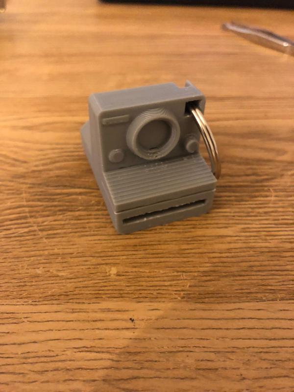 Polaroid Key Chain