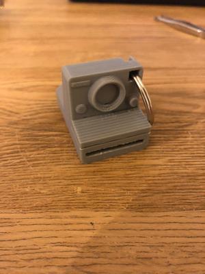Polaroid Key Chain