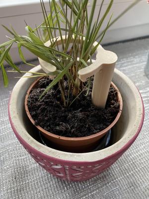 Plantholder / Pflanzenwachstumshilfe