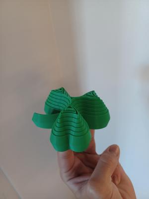 Celtics Clover Print In Place Fidget