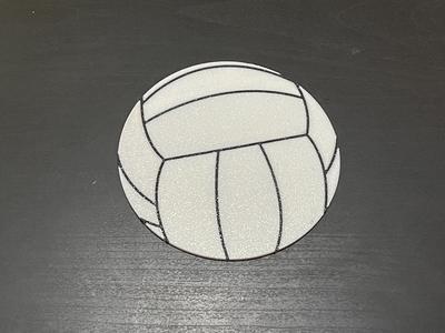 Volleyball Coaster