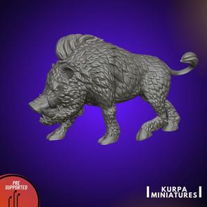 Boar