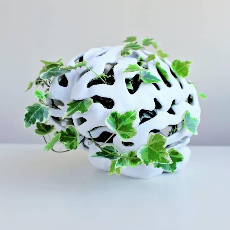 Brain Planter
