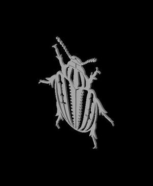 beetle lined.stl