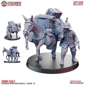 Chinese NRA Pack Mule | Team B ww2