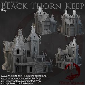 Dark Realms - Dark Kin Elves - Black Thorn Keep
