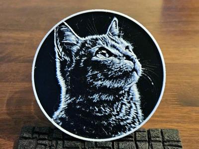 Cat Coaster