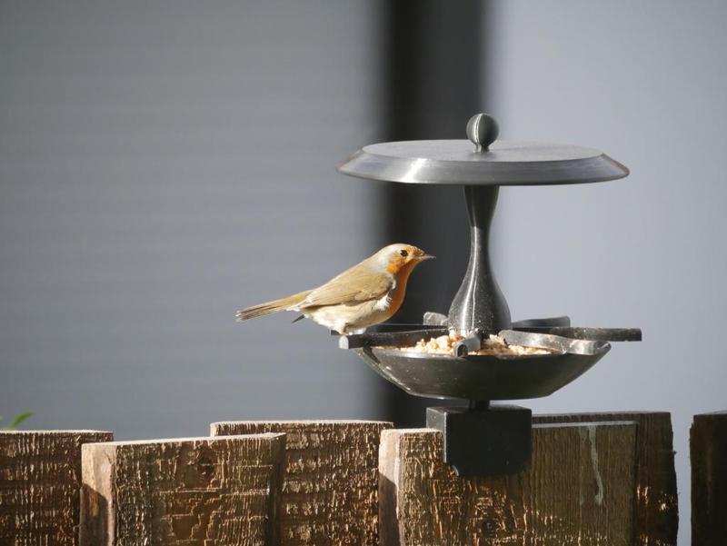 Vogel Futterschale mit Dach bzw. Vogel Futterhaus für Zaun Montage (fence bird feeder)