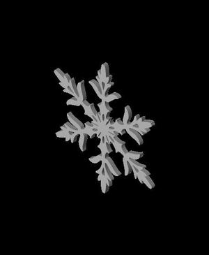 Snow Flake 3