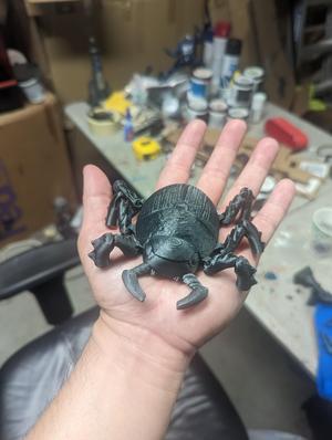 Beetle