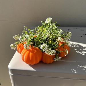Pumpkin patch planter
