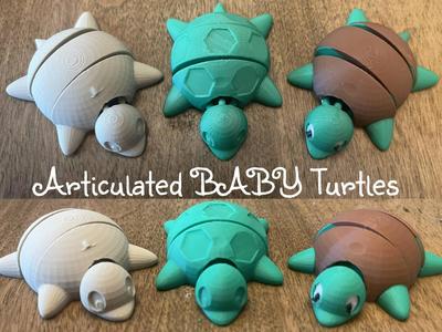 Articulating Baby Turtles