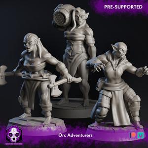 Caelitum Adventurers - Orc Adventurers (3 Models)